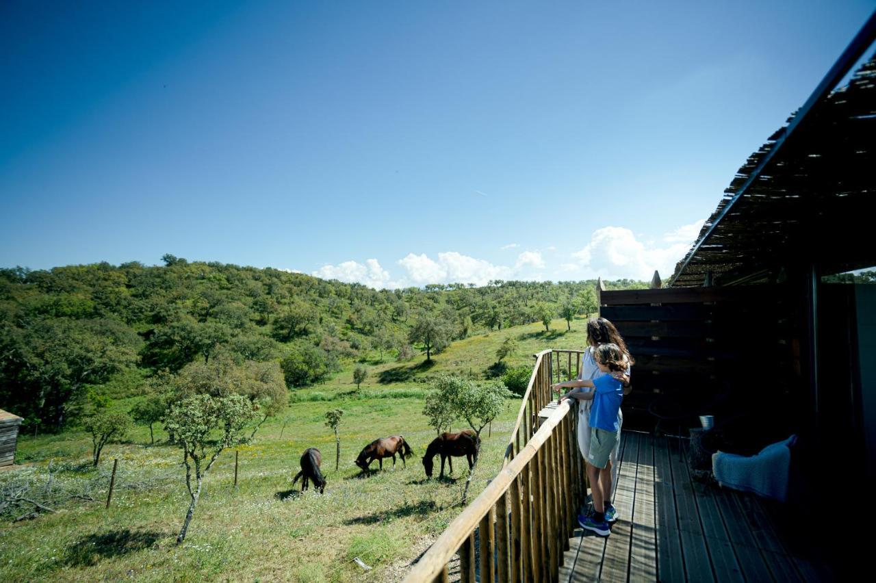 Monte Gois Country House E Spa Curvatos Екстериор снимка
