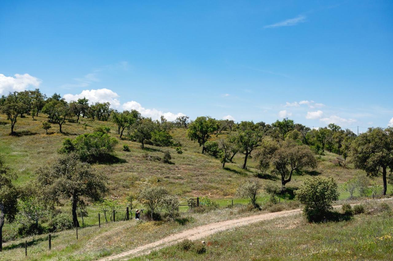 Monte Gois Country House E Spa Curvatos Екстериор снимка