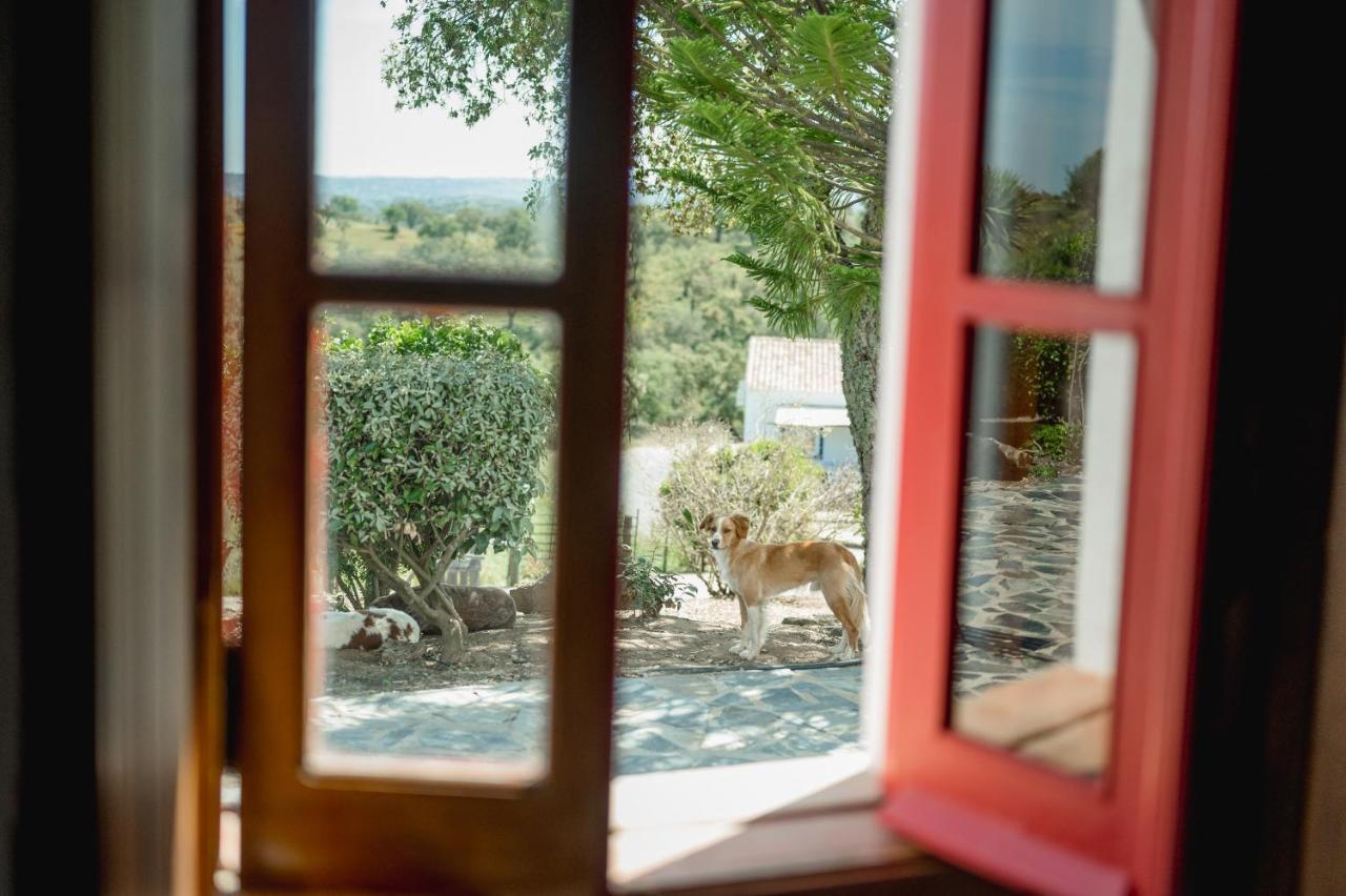 Monte Gois Country House E Spa Curvatos Екстериор снимка