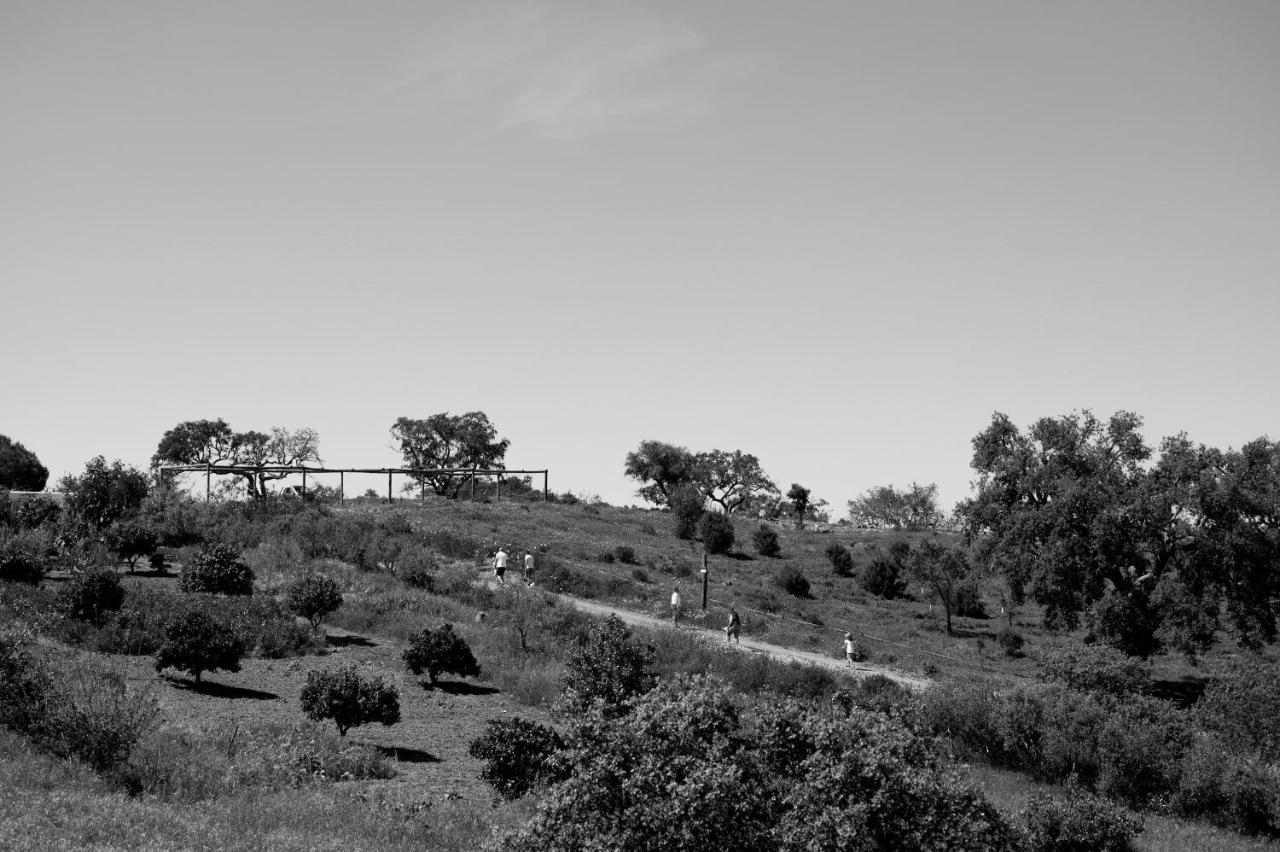 Monte Gois Country House E Spa Curvatos Екстериор снимка